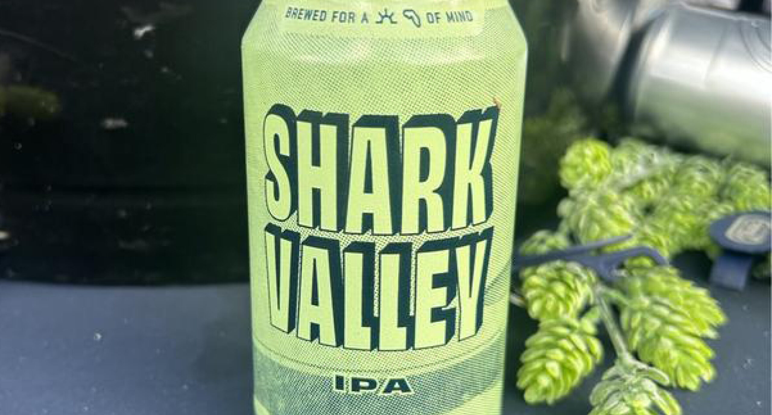 A green can labeled Shark Valley IPA, part of our New Arrivals, sits on a dark surface next to fresh green hops and a metal container in the background.
