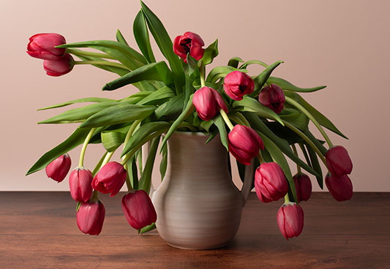 A beige ceramic vase holds a bouquet of red tulips with drooping stems and petals, set on a wooden surface against a light pink background.