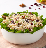 A white bowl lined with green leaf lettuce is filled with chicken salad containing shredded chicken, celery, cranberries, walnuts, and cheese, placed on a light-colored surface.