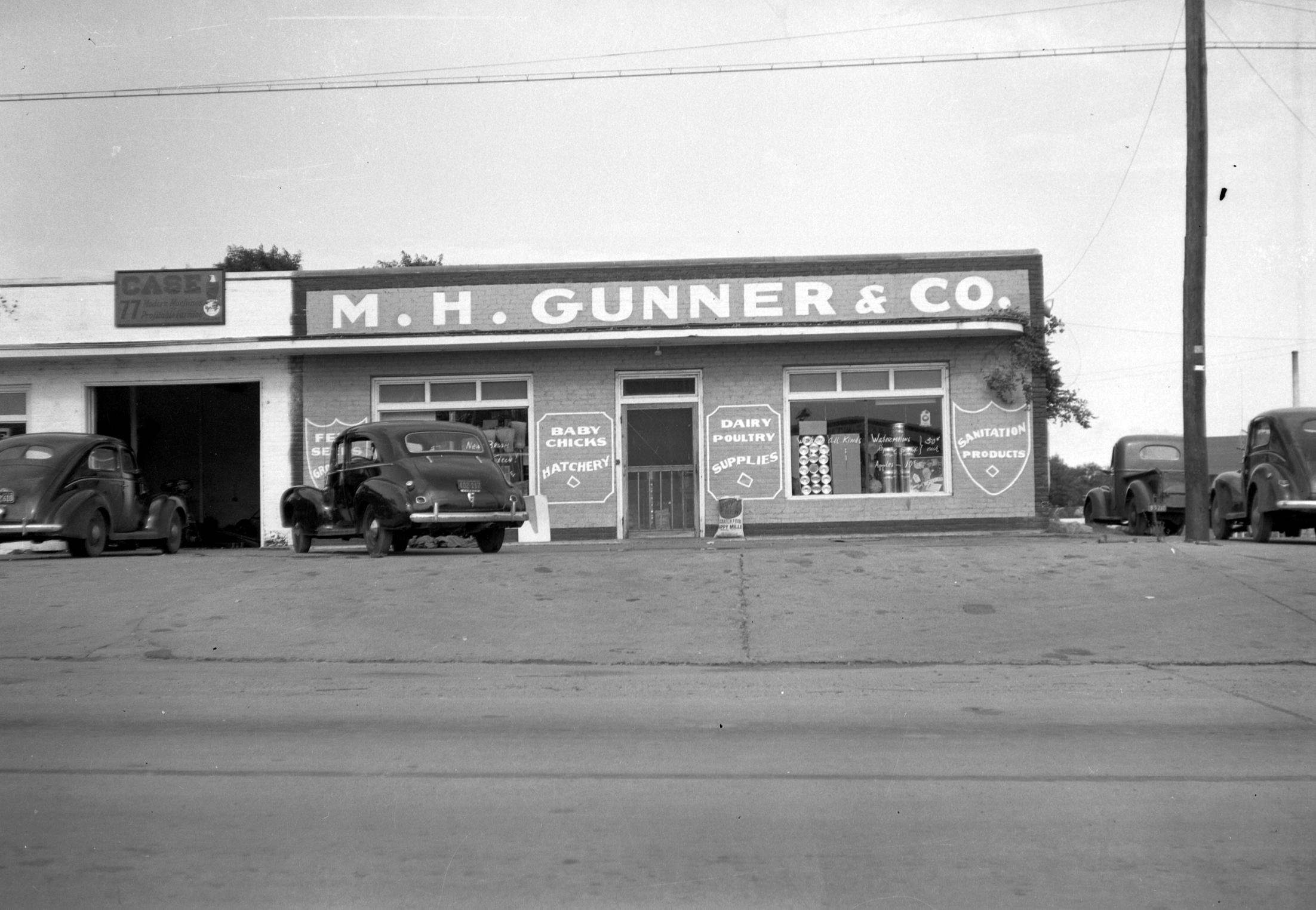 Black-and-white photo of M. H. Gunner & Co., a storefront advertising baby chicks, dairy poultry supplies, and garden produce. Several vintage cars are parked outside on a sloped street.